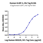 Human ULBP-2 Protein BP005514 Syd Labs