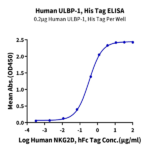 Human ULBP-1 Protein BP005611 Syd Labs