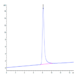 Human VAP-1 Protein BP003526 Syd Labs
