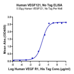 Human VEGF121 Protein BP003503 Syd Labs