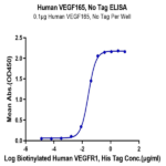 Human VEGF165 Protein BP005778 Syd Labs