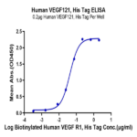 Human VEGF121 Protein BP004957 Syd Labs