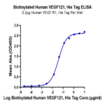 Biotinylated Human VEGF121 Protein BP005727 Syd Labs