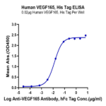 Human VEGF165 Protein BP005436 Syd Labs