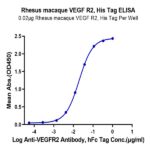 Rhesus macaque VEGF R2/KDR Protein BP003922 Syd Labs