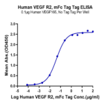 Human VEGF R2/KDR Protein BP005766 Syd Labs