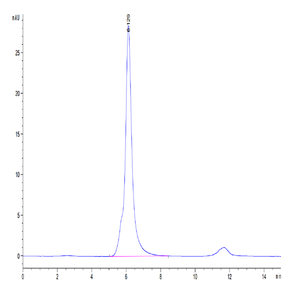 Human VEGF R2/KDR Protein (VGF-HM3R2)