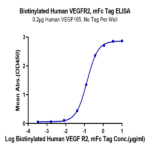 Biotinylated Human VEGF R2/KDR Protein (Primary Amine Labeling) BP003701 Syd Labs