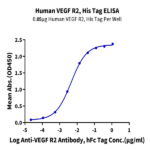 Human VEGF R2/KDR Protein BP005397 Syd Labs
