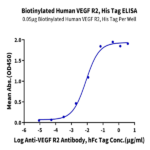 Biotinylated Human VEGF R2/KDR Protein BP004956 Syd Labs