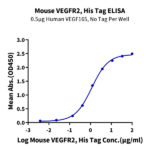 Mouse VEGF R2/KDR Protein BP003899 Syd Labs
