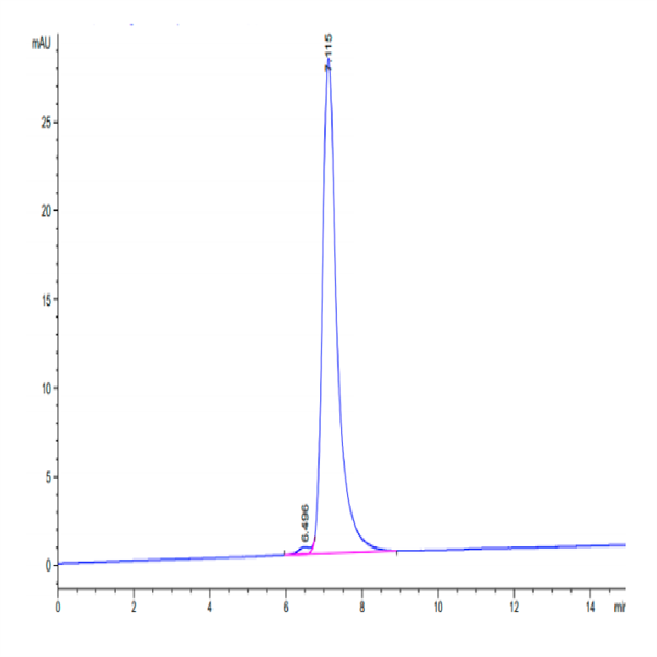 Mouse VEGF R2/KDR Protein (VGF-MM1R2)