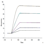 Mouse VEGF R3/FLT4 Protein BP003315 Syd Labs