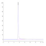 Human Envelop VLP Control BP004125 Syd Labs