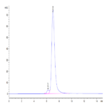 Human VSIG8 Protein BP004954 Syd Labs