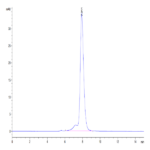 Human VSTM5 Protein BP004519 Syd Labs
