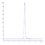 Mouse XPNPEP2 Protein BP003603 Syd Labs