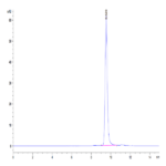 Mouse YKL-40/CHI3L1 Protein BP004679 Syd Labs