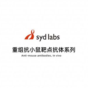 Syd Labs体内实验级重组抗小鼠靶点抗体