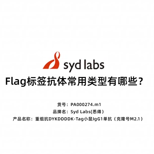 Syd Labs PA000274.m1 重组抗DYKDDDDK-Tag小鼠IgG1单抗（克隆号M2.1）