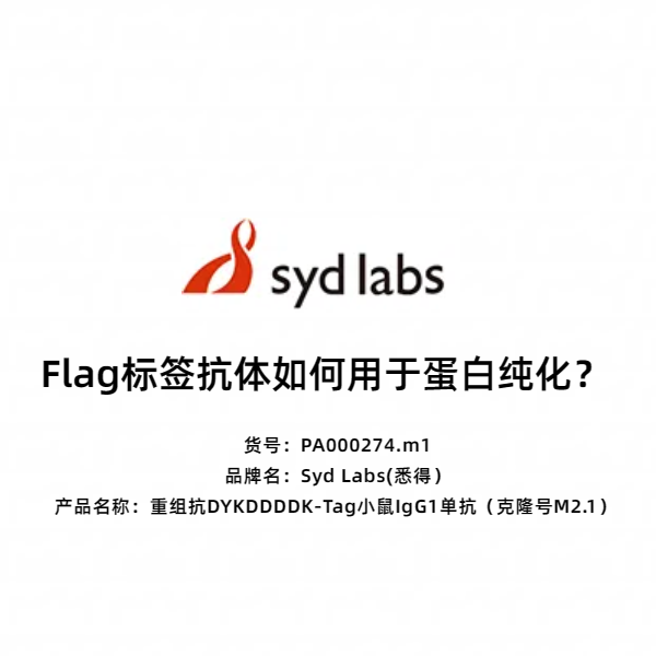 Syd Labs PA000274.m1 重组抗DYKDDDDK-Tag小鼠IgG1单抗（克隆号M2.1）