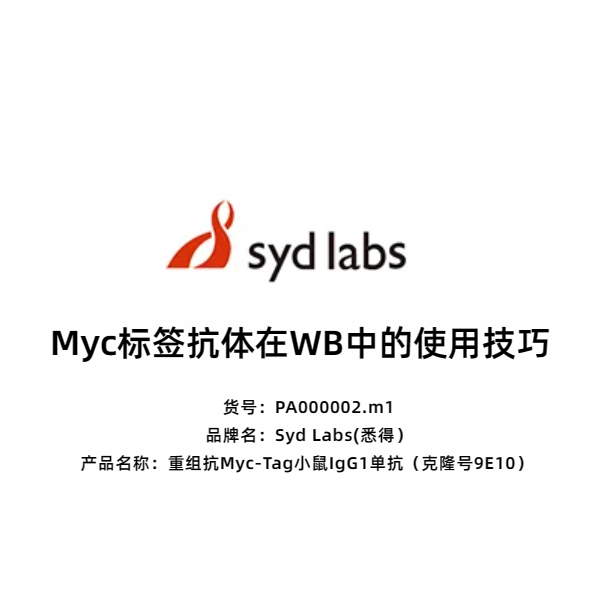 Syd Labs PA000002.m1 重组抗Myc-Tag小鼠IgG1单抗（克隆号9E10）