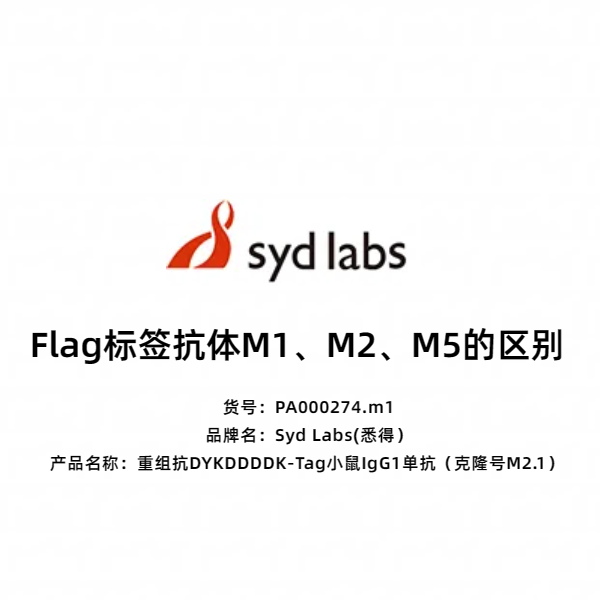 Syd Labs PA000274.m1 重组抗DYKDDDDK-Tag小鼠IgG1单抗(克隆号M2.1)