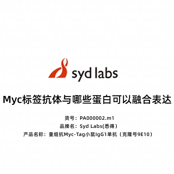 Syd Labs PA000002.m1 重组抗Myc-Tag小鼠IgG1单抗(克隆号9E10)