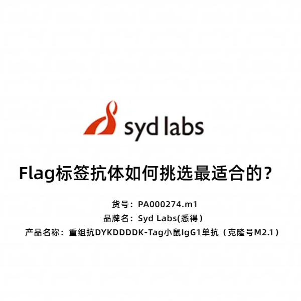 Syd Labs PA000274.m1 重组抗DYKDDDDK-Tag小鼠IgG1单抗（克隆号M2.1）