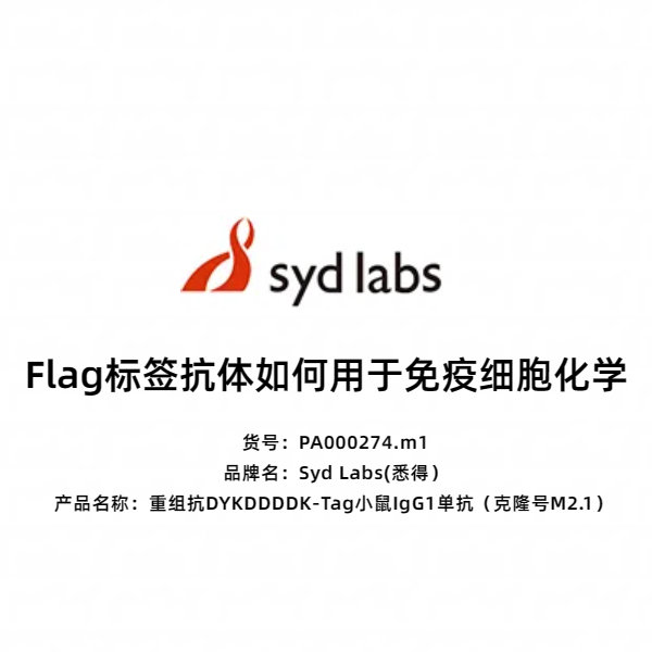 Syd Labs PA000274.m1 重组抗DYKDDDDK-Tag小鼠IgG1单抗（克隆号M2.1）