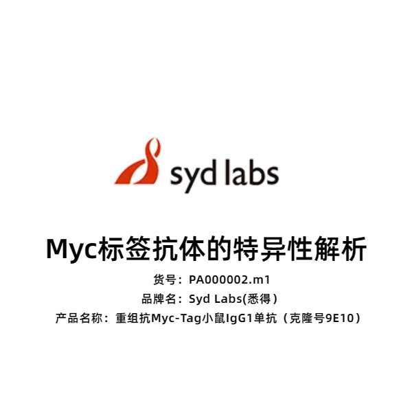 Syd Labs PA000002.m1 重组抗Myc-Tag小鼠IgG1单抗(克隆号9E10)