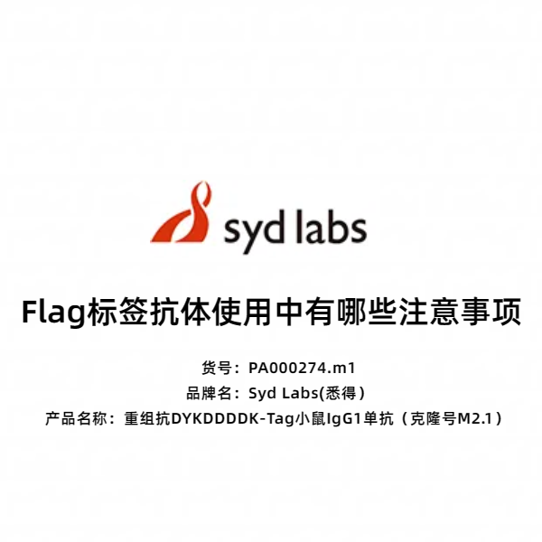 Syd Labs PA000274.m1 重组抗DYKDDDDK-Tag小鼠IgG1单抗(克隆号M2.1)