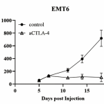 抗小鼠CTLA-4抗体(9D9)EMT6乳腺癌模型剂量与文献指南 - 武汉多找找科技