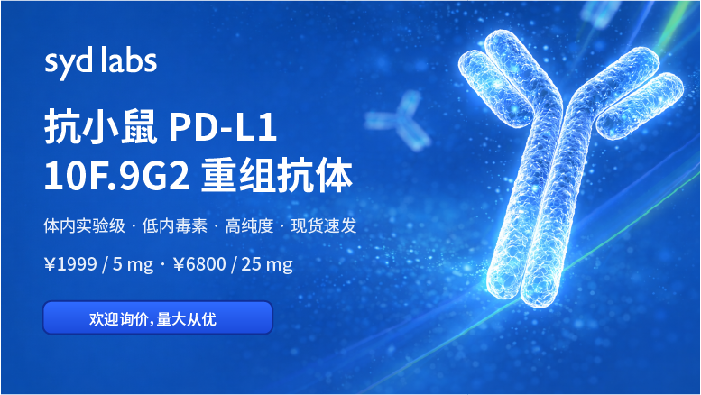 Syd Labs 抗小鼠PD-L1抗体(10F.9G2.1) PA007164.r2b
