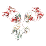 Ifinatamab生物类似药，N297A突变体，内毒素0.05 EUmg Syd Labs C106P.NA.05