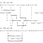 重组人胰岛素 Syd Labs BP006254