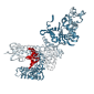 重组抗小鼠PD-1/VEGF-A抗（克隆号RMP1-14.1/G6-23）PA008017.m2cLA Syd Labs