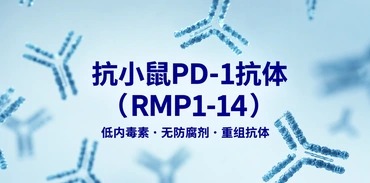 抗小鼠PD-1抗体 RMP!-14 抗小鼠PD-1抗体 RMP!-14