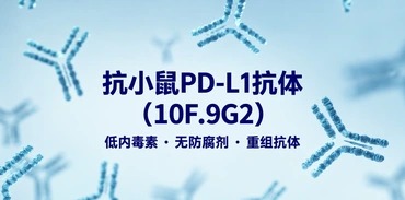 抗小鼠PD-L1抗体 10F.9G2 抗小鼠PD-L1抗体 10F.9G2